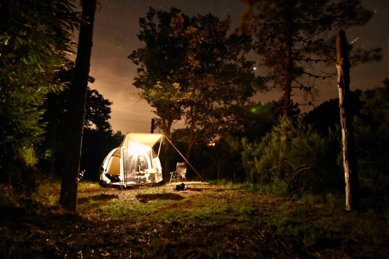 Agriturismo Ca Du Chittu Carro Екстериор снимка