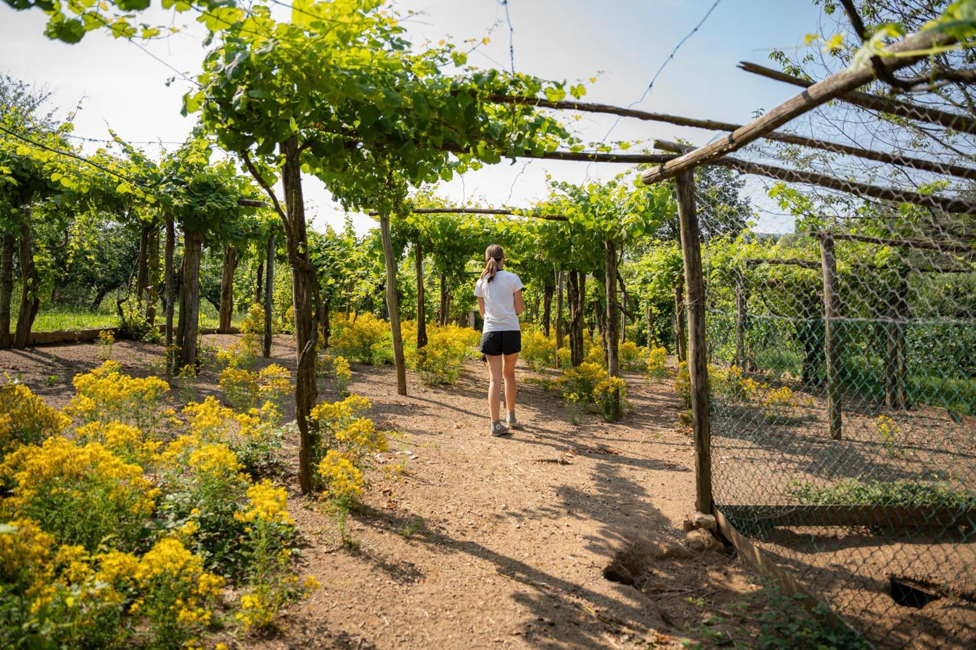 Agriturismo Ca Du Chittu Carro Екстериор снимка