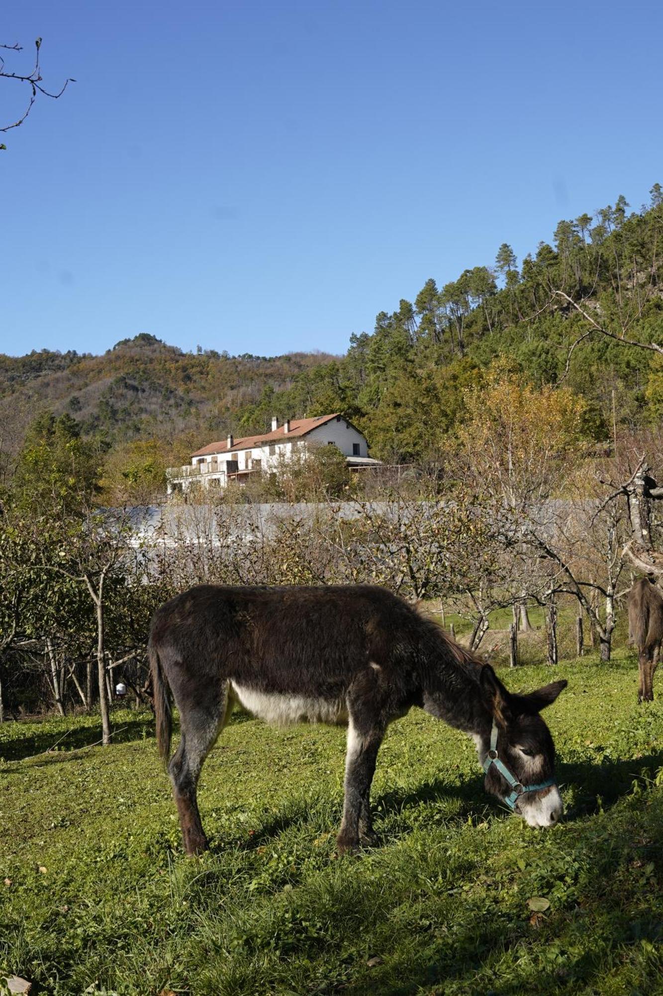 Agriturismo Ca Du Chittu Carro Екстериор снимка
