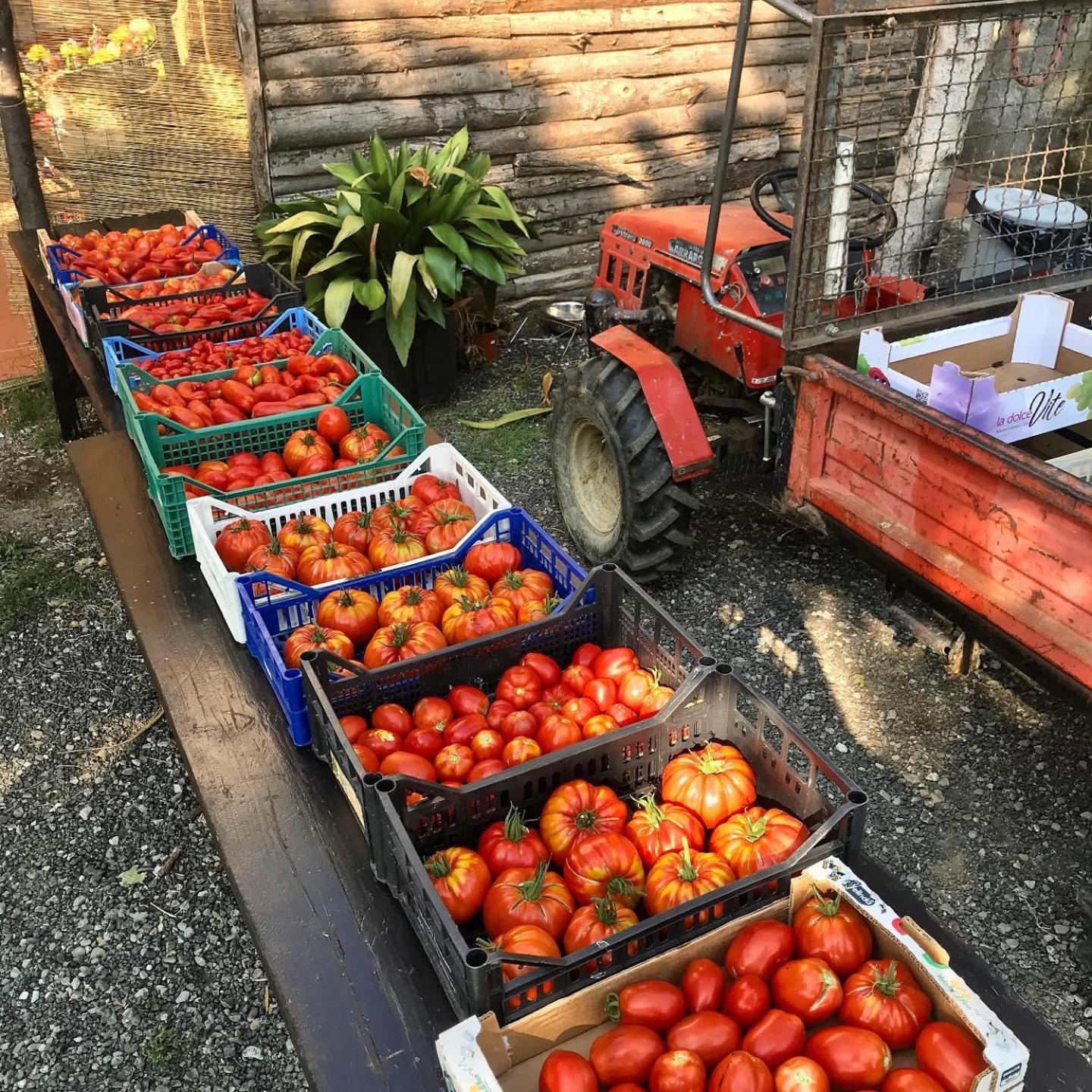 Agriturismo Ca Du Chittu Carro Екстериор снимка